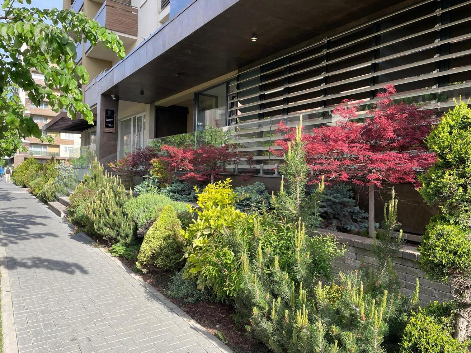 בראשוב Alto Studio & Free Private Parking מראה חיצוני תמונה